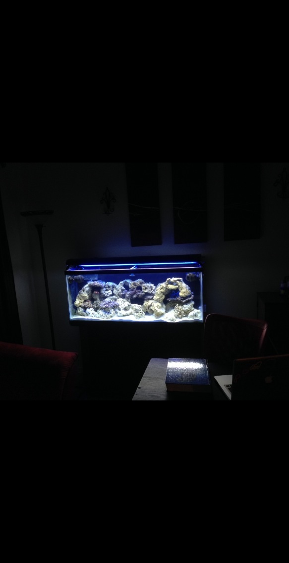 My Tank