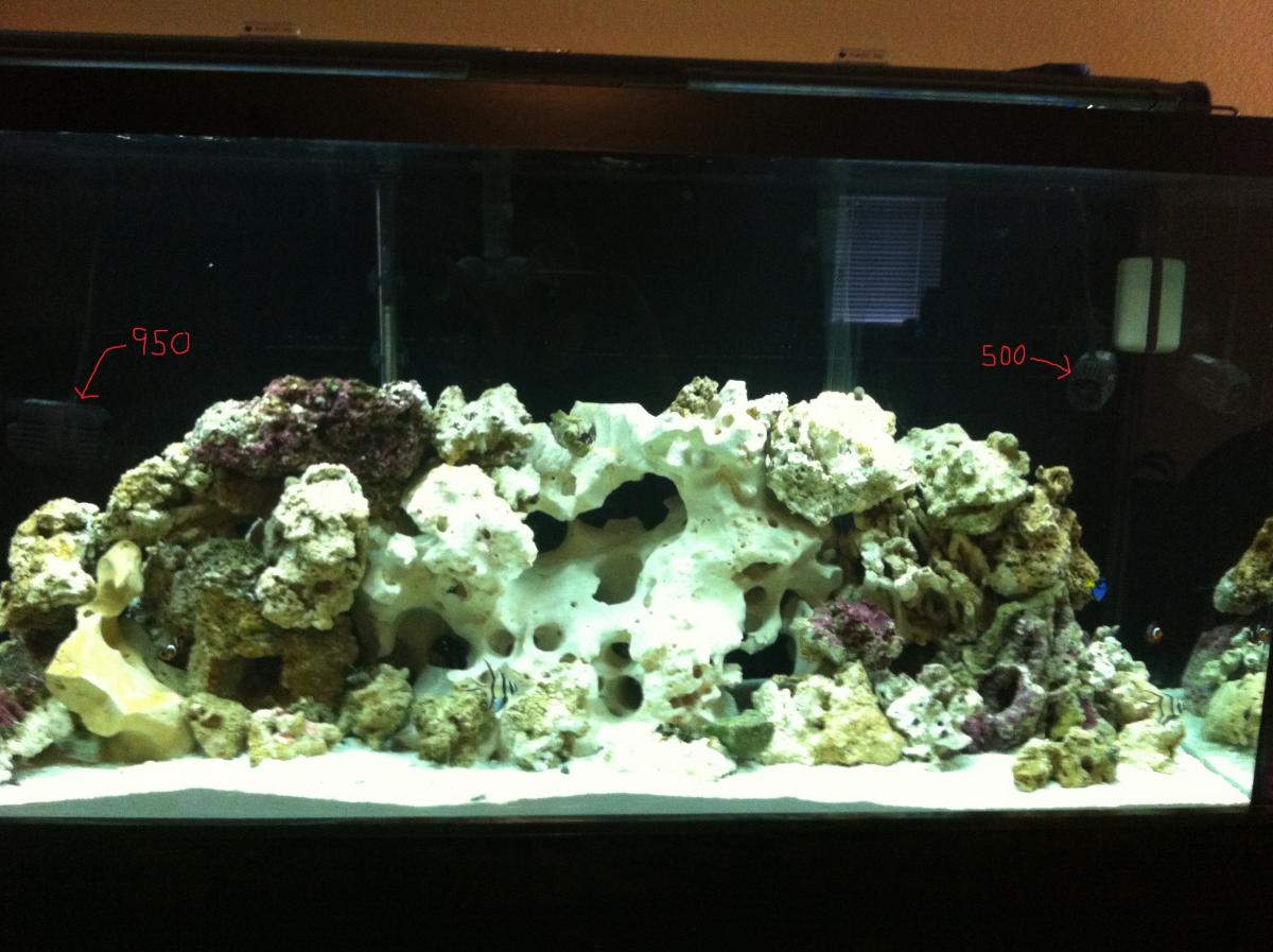 Circulation Pump Placement in 90 gallon Reef Keeping Austin Reef Club