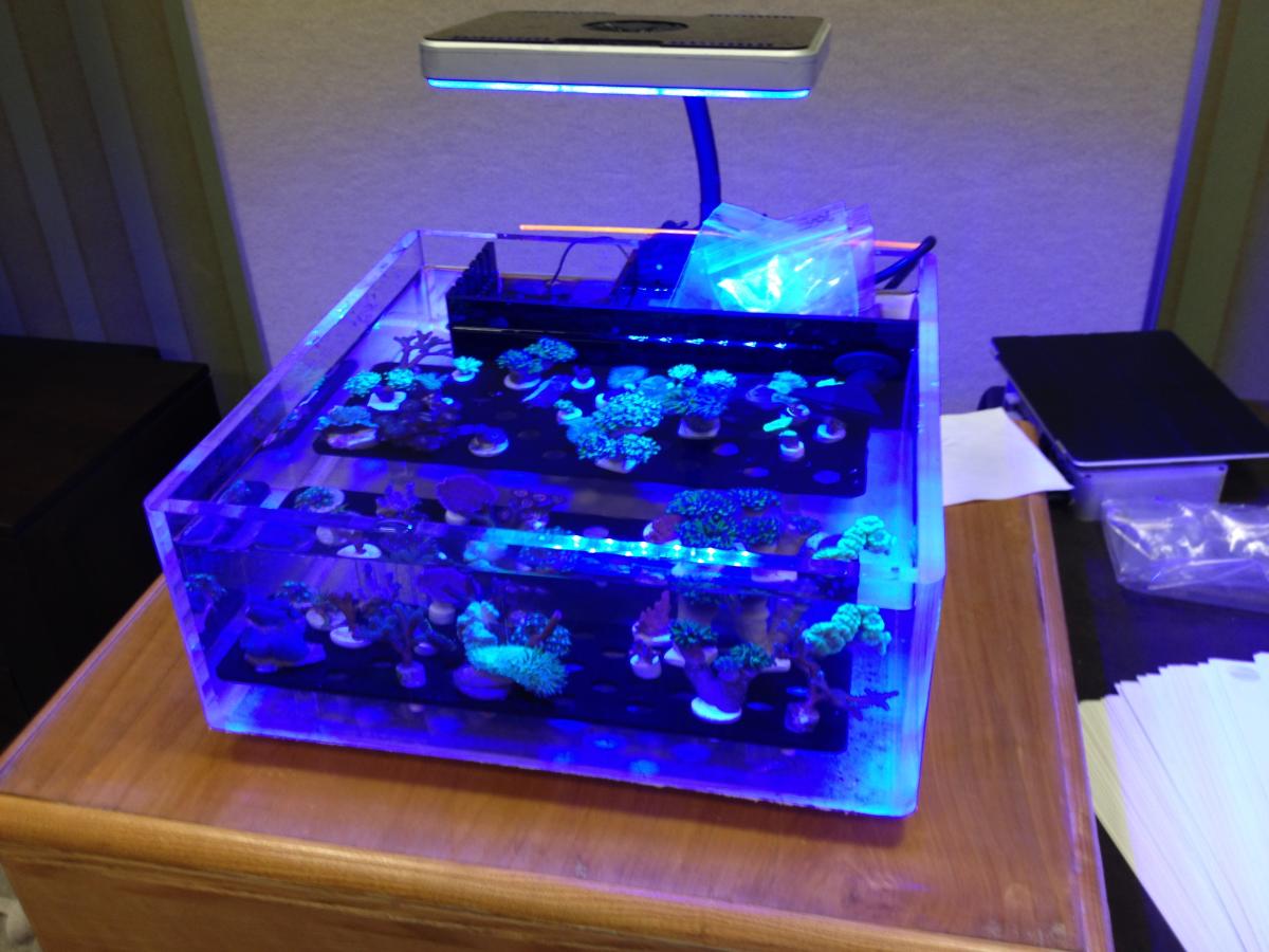 Freakin' Awesome Frag Tank! Sold! Hardware Austin Reef Club