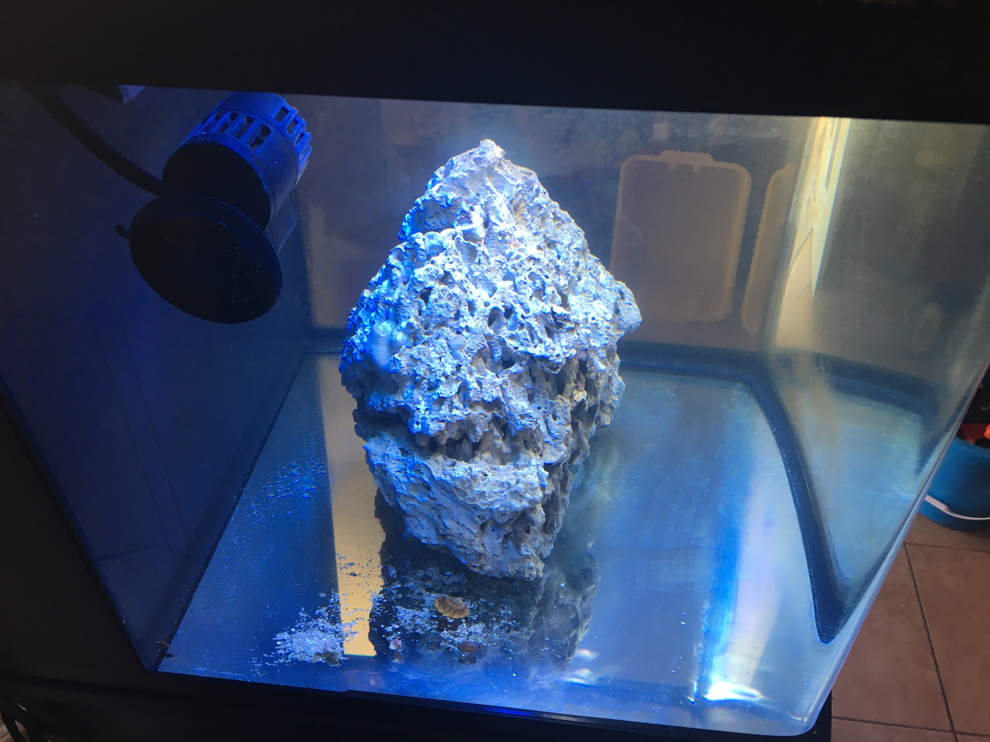 29 Gal Biocube 150.00 - Complete Systems - Austin Reef Club