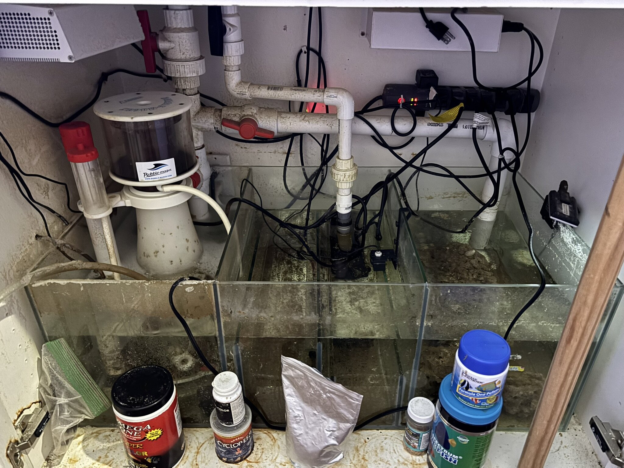 Moving, entire system for sale 120 Gallon display tank plus sump and ...
